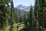 Forest Service chief reaffirms efforts to boost timber, energy production on federal lands