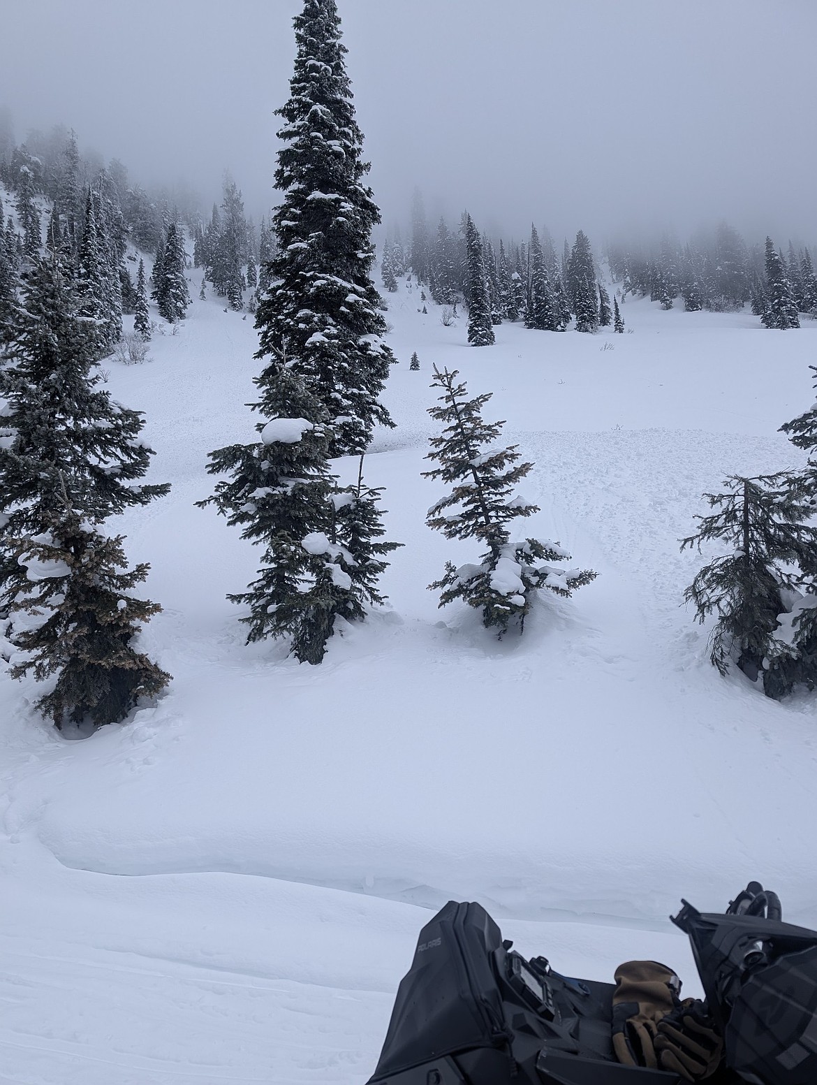 A user submitted photo on Flathead Avalanche of instability on a snowmobile trail in the Whitefish Range near Red Meadow Lake on Feb. 22.
