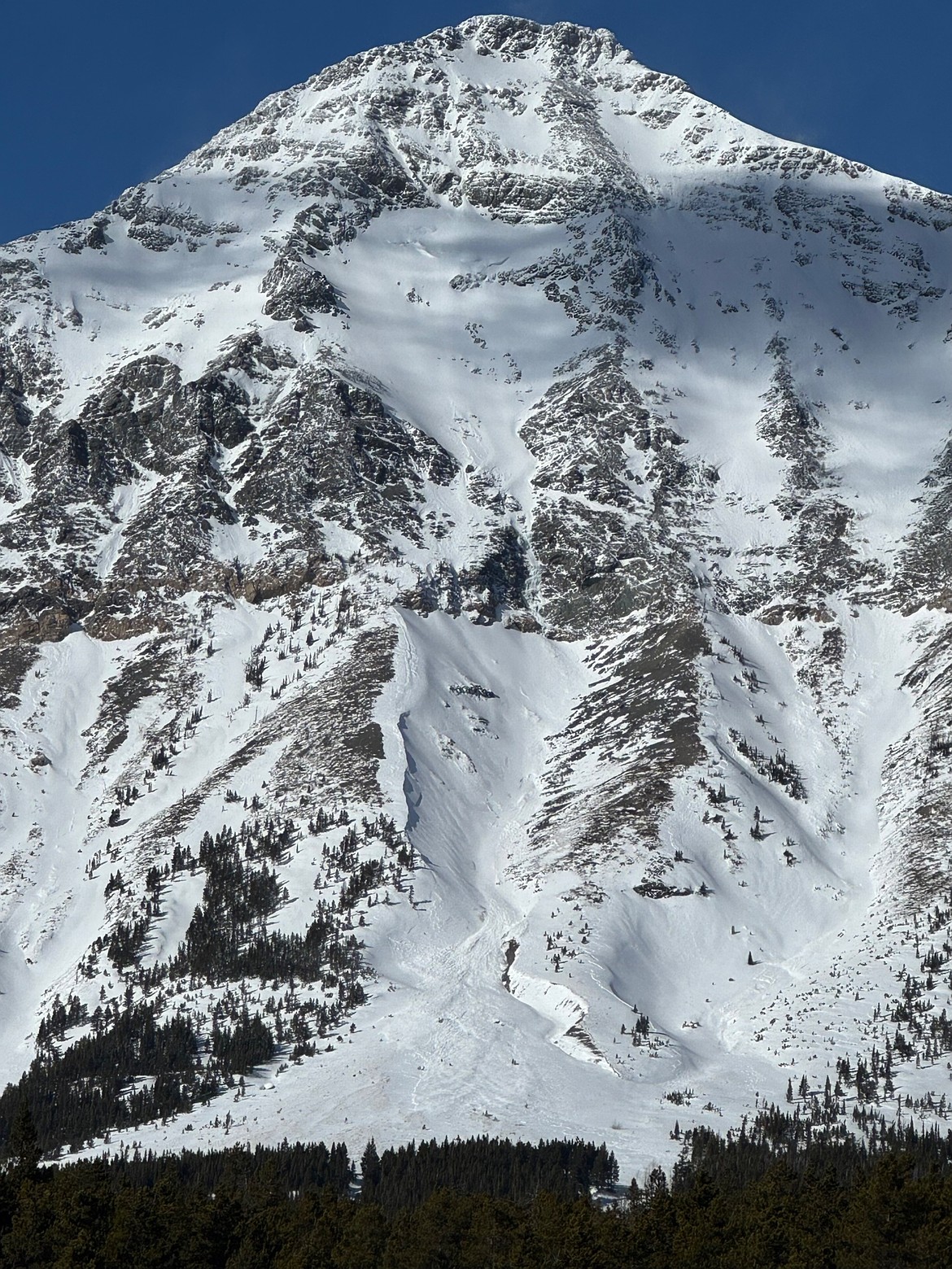 A D3 avalanche on Little Dog Mountain observed on Feb. 24. Photo by Jackson George.