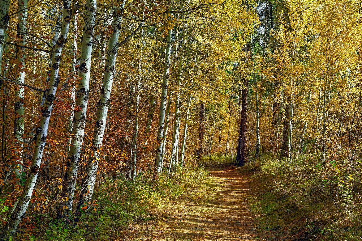 "Autumn Trail," photography by Mike DeCesare.