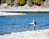 More changes in the works for NW Montana fishing regs