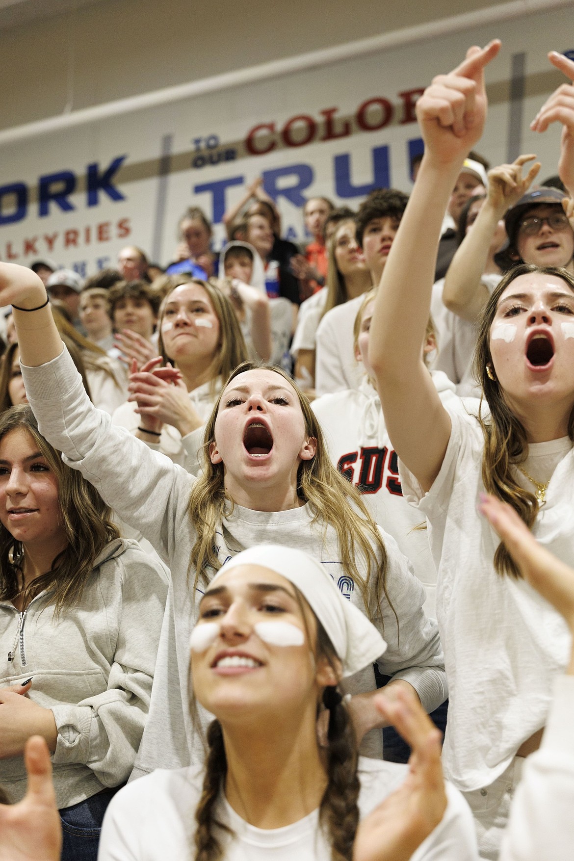 The crowd goes wild at the Vikings' play-in game against Whitefish Thursday, Feb. 27. (Courtesy/Steve Mitchell)