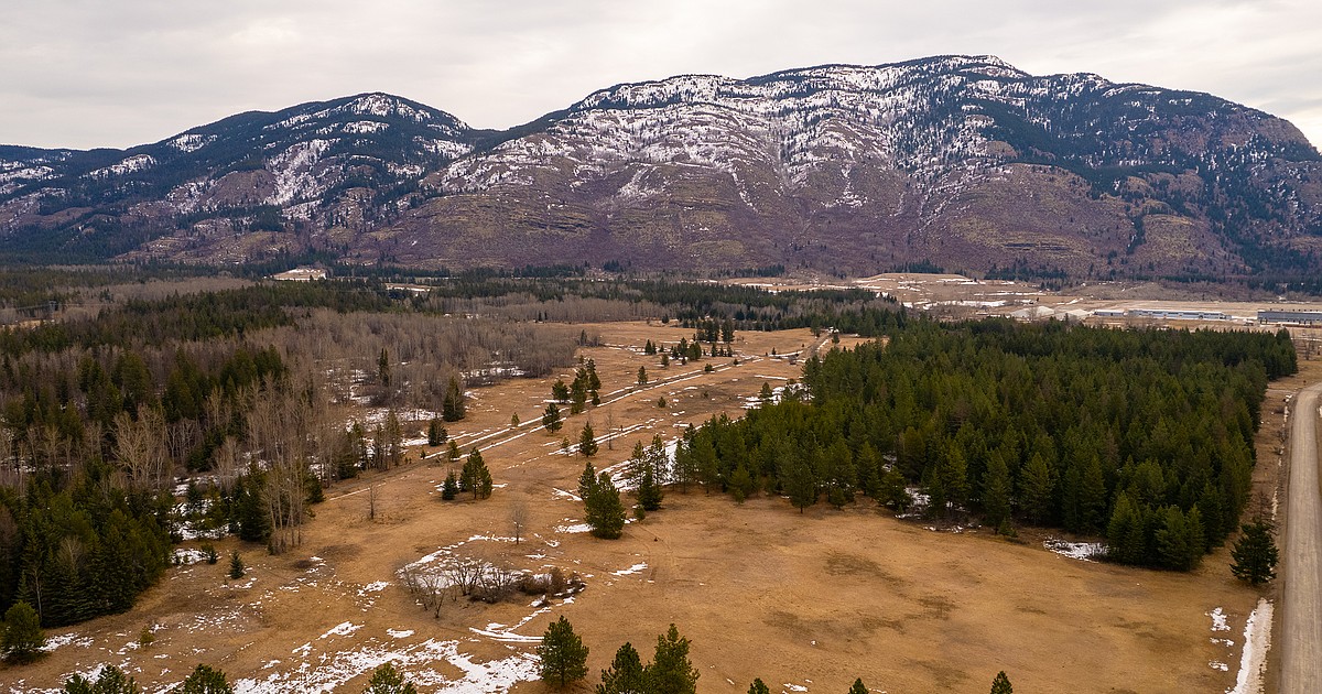 Opinion: Now is the time to consider wildlife corridor along Teakettle