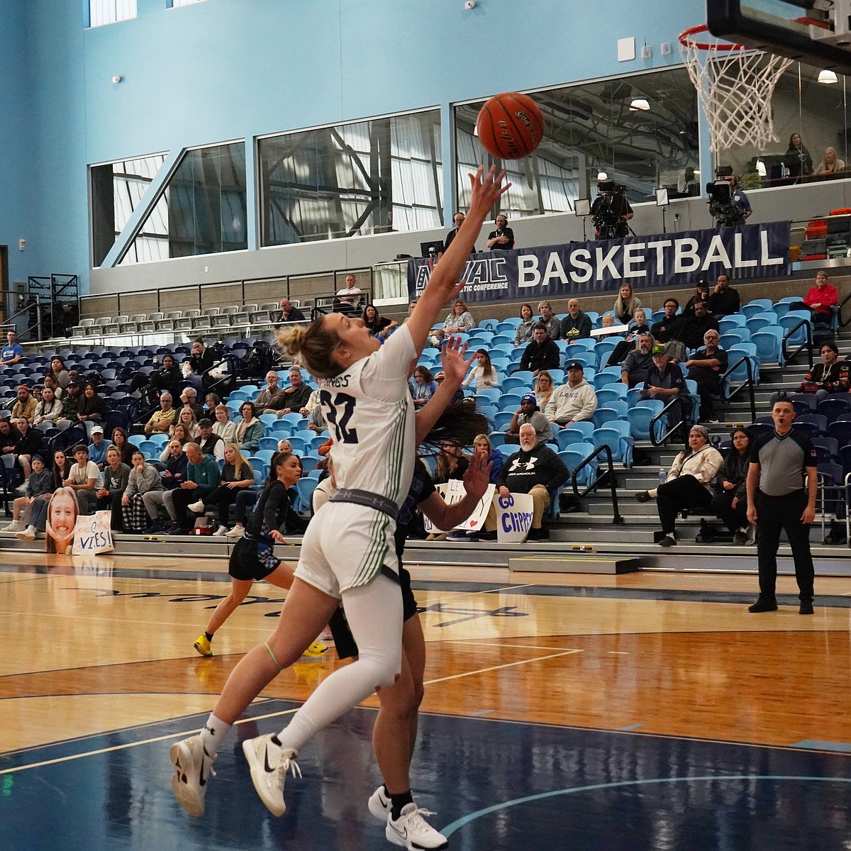 Lady Vikings upset in first round of NWAC to Puget Sound