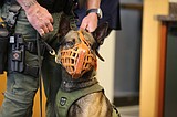 Kootenai County Sheriff’s Office swears in new K-9