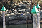 APRIL NIBJ: Tubbs Hill a main attraction