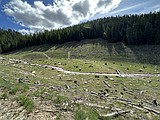 THE DIRT: Completion of Priority Cleanup Activities in the Ninemile Basin