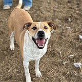 Jenny, Jenny, she's got your number