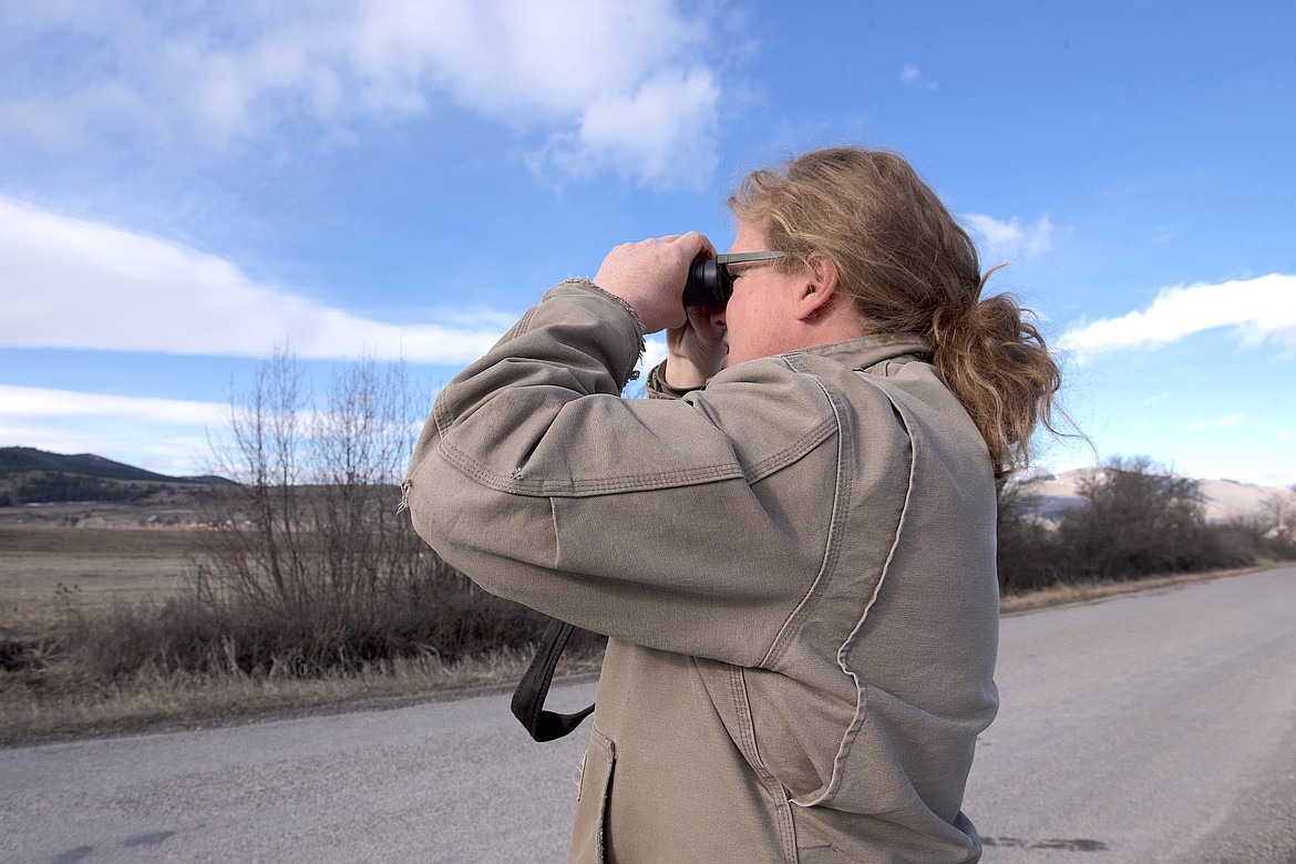 Biologist Adam Potts scans the skies near St. Mary Road, south of St. Ignatius, for raptors. (Kristi Niemeyer/Leader)