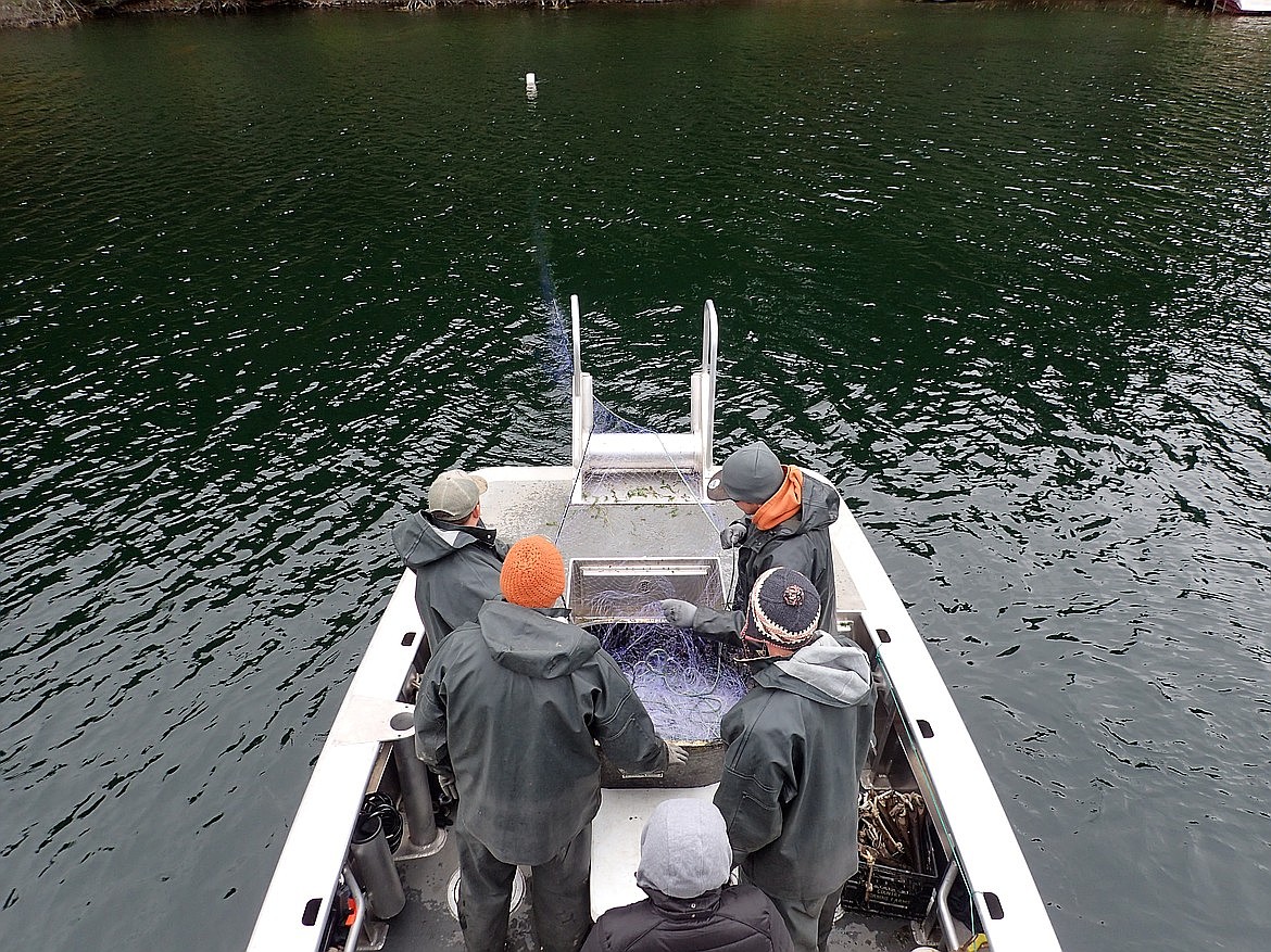 A boat on Windy Bay in October 2019.