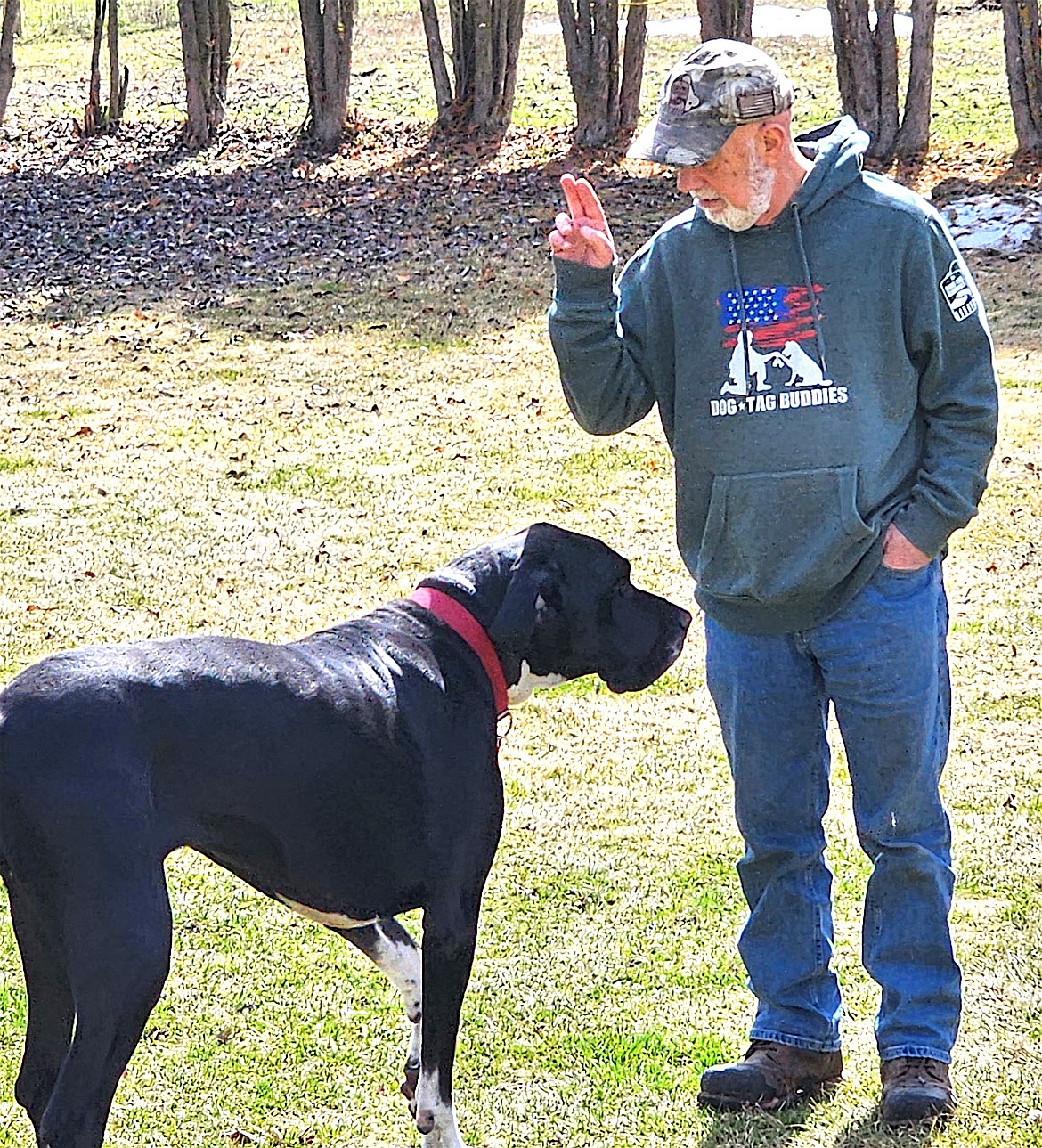 Veteran Bill Austin takes his service dog, Gretchen, through some commands at his home in Pablo. (Berl Tiskus/Leader)