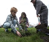 Coeur d'Alene High recipient of Douglas fir that went to space