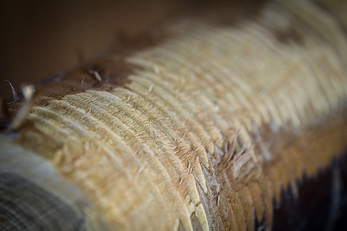 A piece of cherry wood grown along Flathead Lake carved using a lathe at Mug Man Woodworking on Tuesday, April 8. (Casey Kreider/Daily Inter Lake)