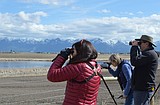 Reed's Slough Wildlife Viewing Area opens in Flathead Valley