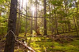 Earth Day event is Saturday at FVCC