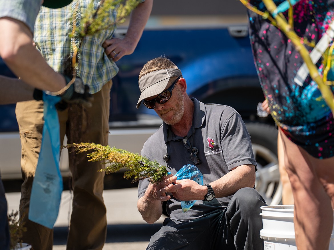 NIC hosts Arbor Day event | Coeur d'Alene Press