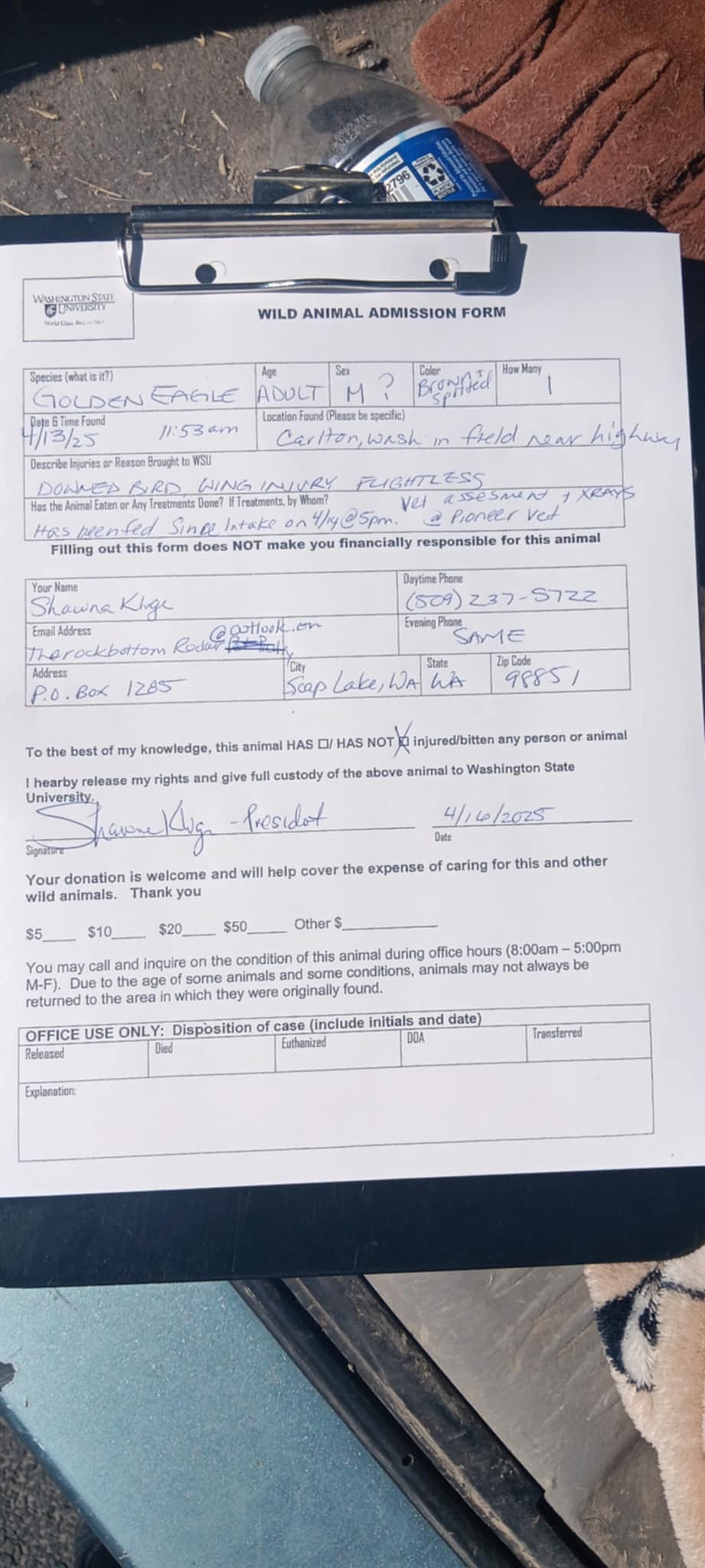 Rock Bottom Rocker Pet Pantry President Shawna Kluge successfully made it to the Washington State University Veterinary Teaching Hospital in Pullman Thursday. The hospital said the bird is likely to recover, however proper testing needs to be done.