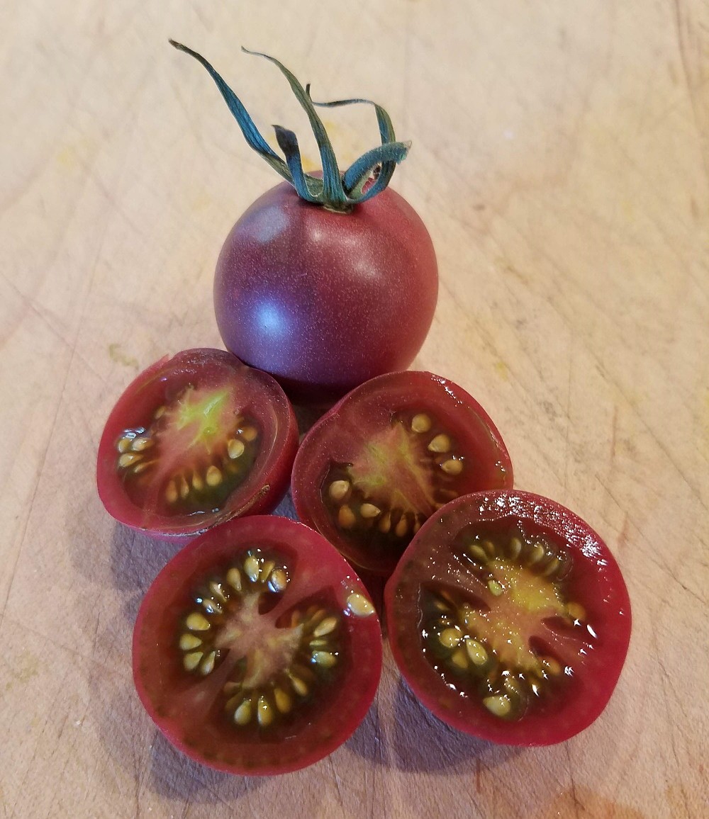 Many heirloom tomatoes are high in cancer-fighting antioxidants, such as these beautiful, non-GMO, heirloom Black Cherry tomatoes!