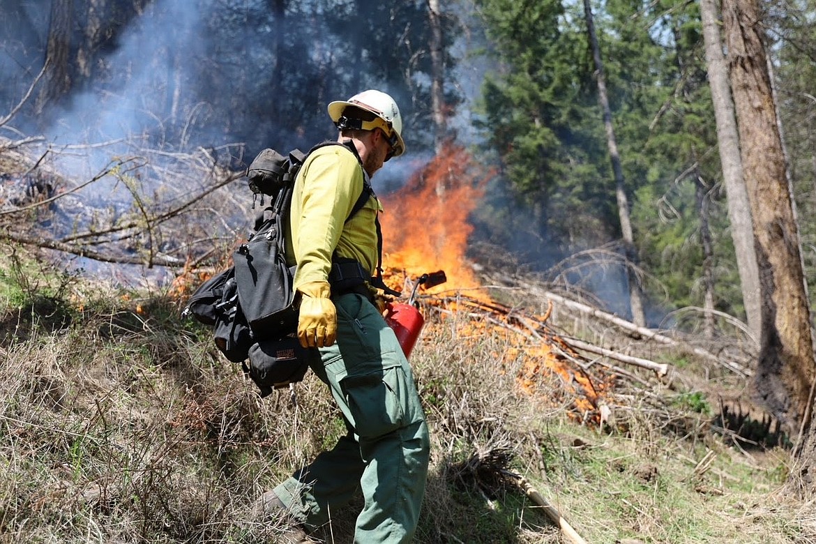 A wildland firefighter from the Coeur d Alene River Ranger district uses a drip torch for prescribed fire. Prescribed fire operations for Idaho Panhandle National Forests started Friday. The work is expected to continue through the spring as weather conditions allow. Prescribed fires are used to reduce overgrown vegetation to help protect local communities, infrastructure and natural resources from wildfires.