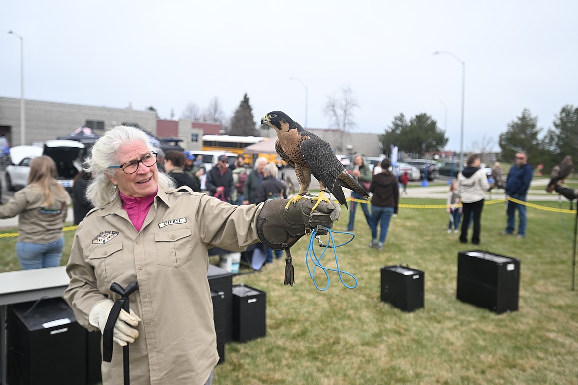 A volunteer with Montana Wild Wings shows off Duchess, a female peregrine falcon, at the 2025 Earth Day Expo. (Hailey Smalley/ Daily Inter Lake)