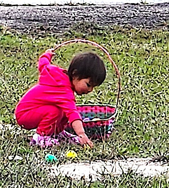 A tiny Easter egg hunter kneels to scoop up an egg. (Berl Tiskus/Leader)