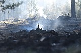 Fire Adapted Kootenai prepares for fall burn season
