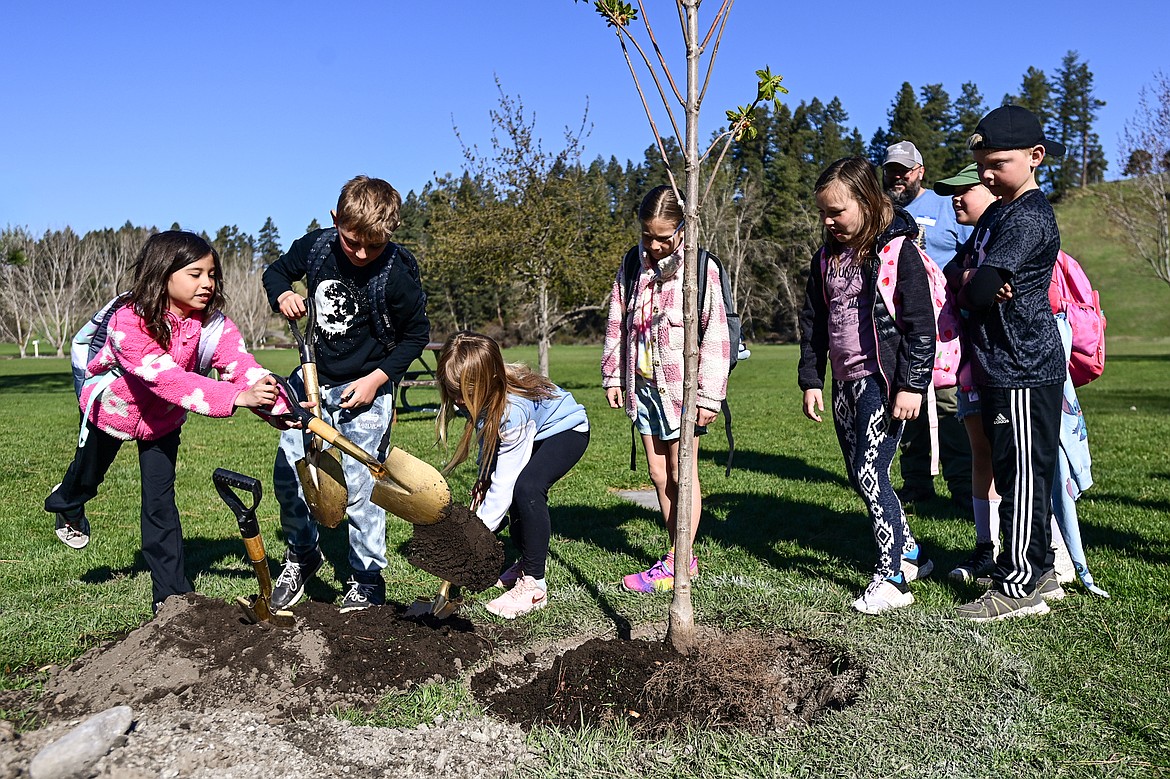 Third-graders help plant a red horse chestnut tree they voted to name "Chester" at the Arbor Day celebration at Lawrence Park on Friday, April 25. (Casey Kreider/Daily Inter Lake)