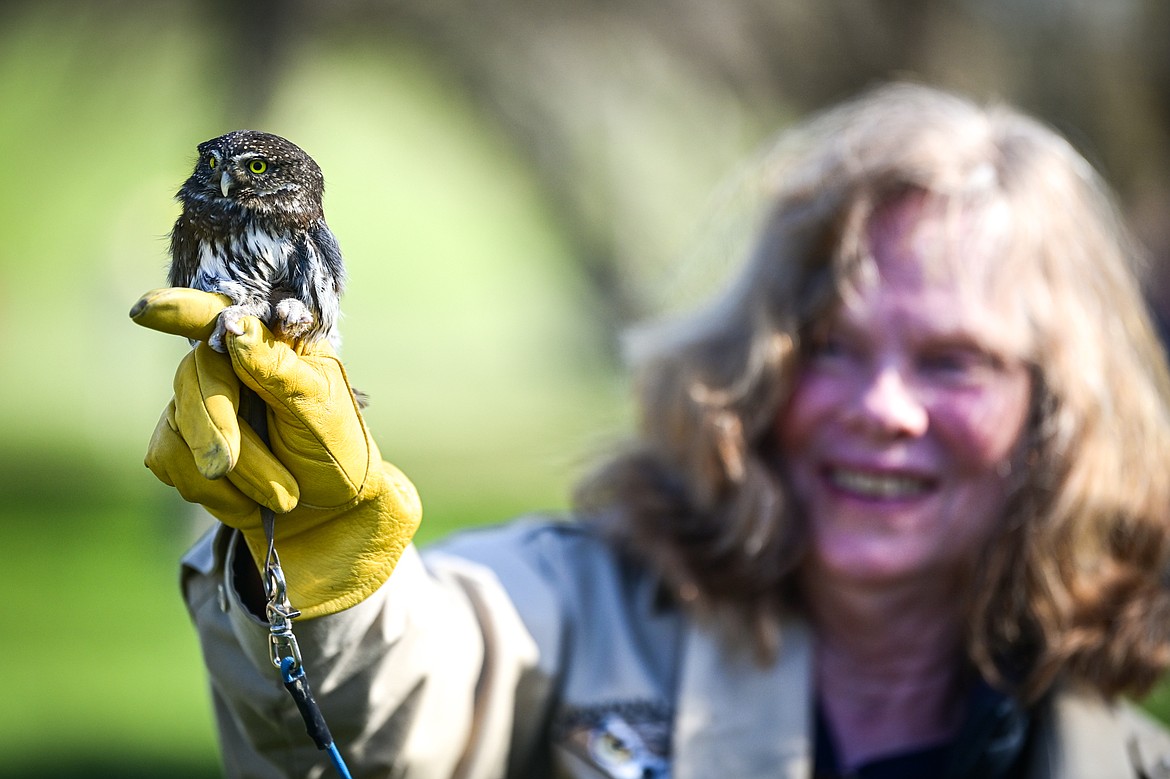 A volunteer with Montana Wild Wings Recovery Center holds a northern pygmy-owl during a demonstration at the Arbor Day celebration at Lawrence Park on Friday, April 25. (Casey Kreider/Daily Inter Lake)