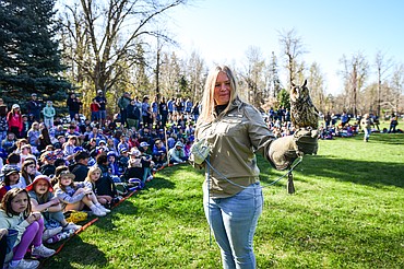 A volunteer with Montana Wild Wings Recovery Center holds a long-eared owl during a demonstration at the Arbor Day celebration at Lawrence Park on Friday, April 25. (Casey Kreider/Daily Inter Lake)