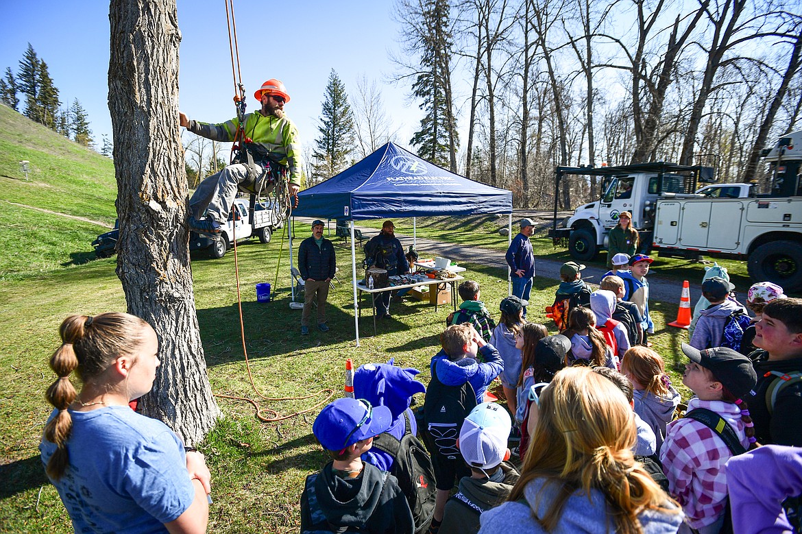 Flathead Electric Cooperative journeyman tree trimmer James Gabriel scales a tree during a demonstration at the Arbor Day celebration at Lawrence Park on Friday, April 25. (Casey Kreider/Daily Inter Lake)