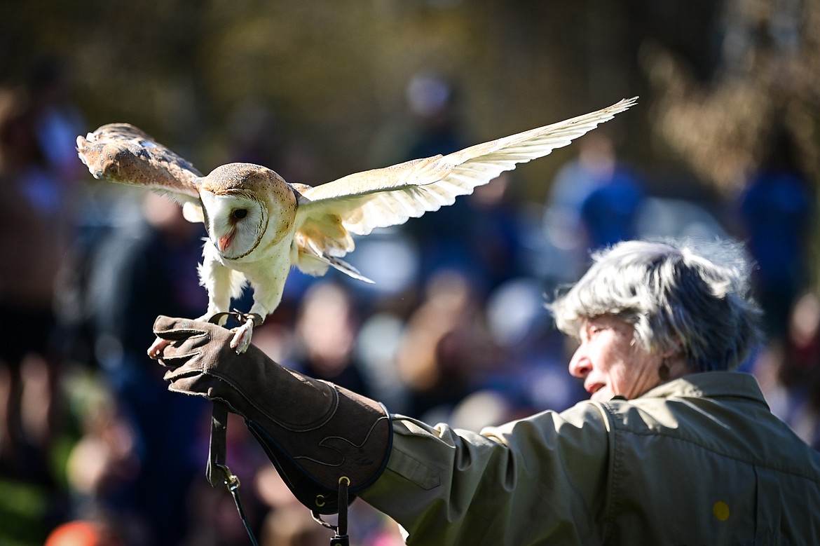 A volunteer with Montana Wild Wings Recovery Center holds a barn owl during a demonstration at the Arbor Day celebration at Lawrence Park on Friday, April 25. (Casey Kreider/Daily Inter Lake)