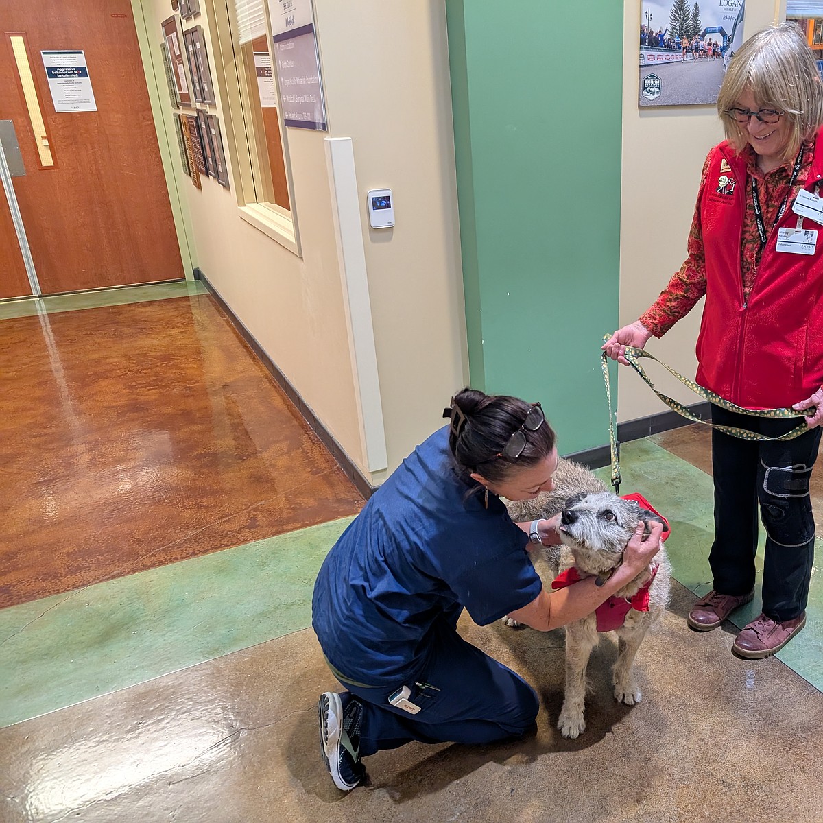 Hospital Corner: Paws for health | Whitefish Pilot