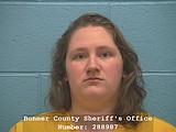 Boundary County woman arrested for damaging Dover business