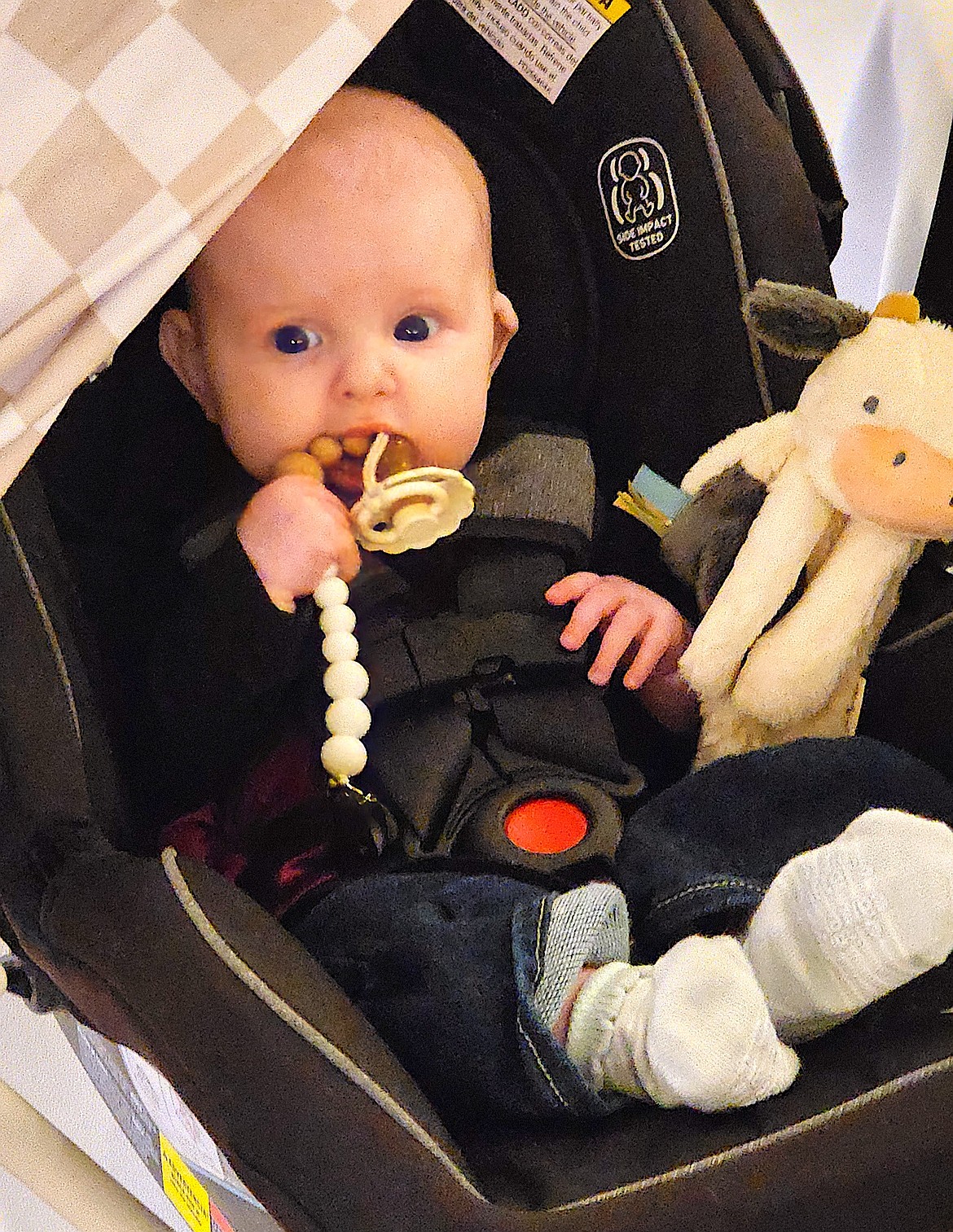 This was Mayson's first Cowboy Ball, but she brought her cow and wore her jeans. (Berl Tiskus/Leader)