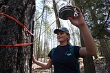 Students sharpen timber skills at Idaho State Forestry Contest