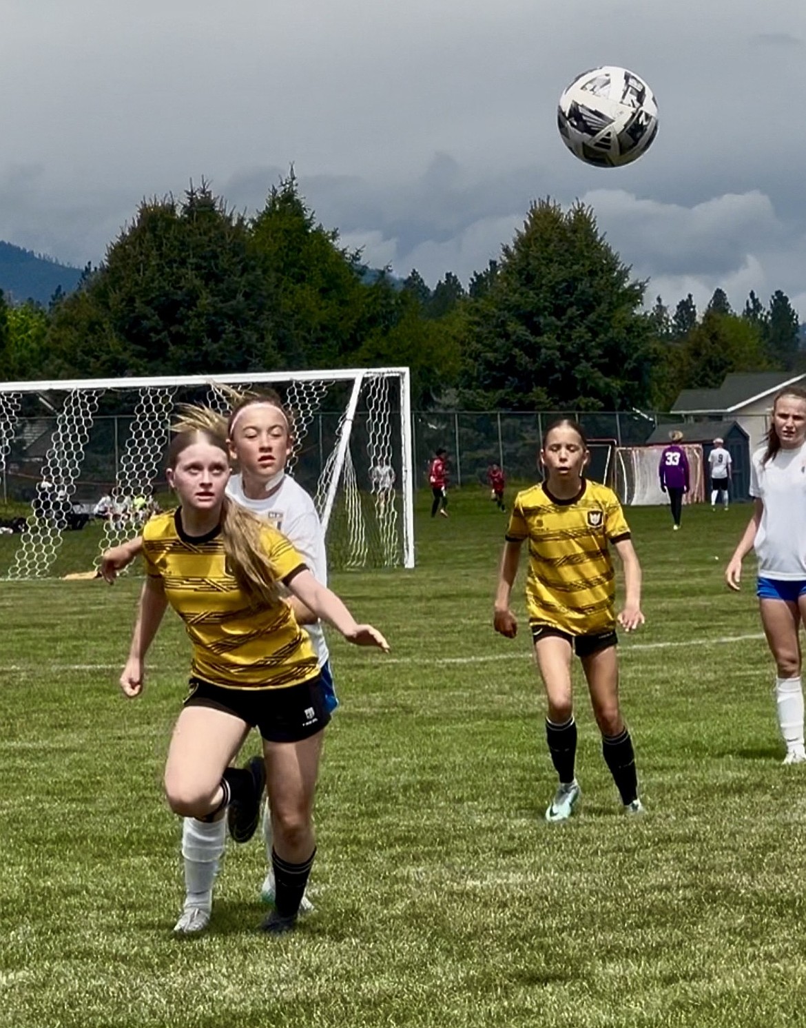 Photo by JULIE SPEELMAN
the Sting FC Girls 11 soccer team lost to the Sandpoint Strikers 4-2 last weekend. Elle Sousley scored both goals for the Sting. Pictured below is Kynleigh Rider playing the ball, and watching from behind is Gracie McVey (both in yellow) for the Sting.