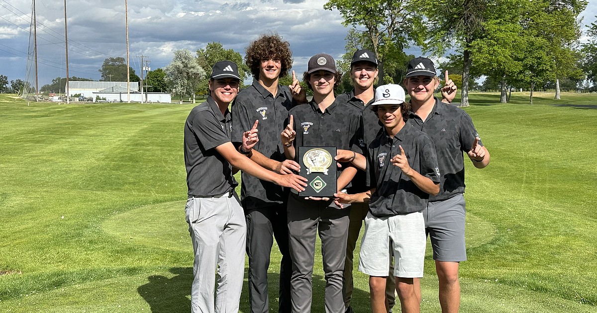 MLHS boys golf team, district champs
