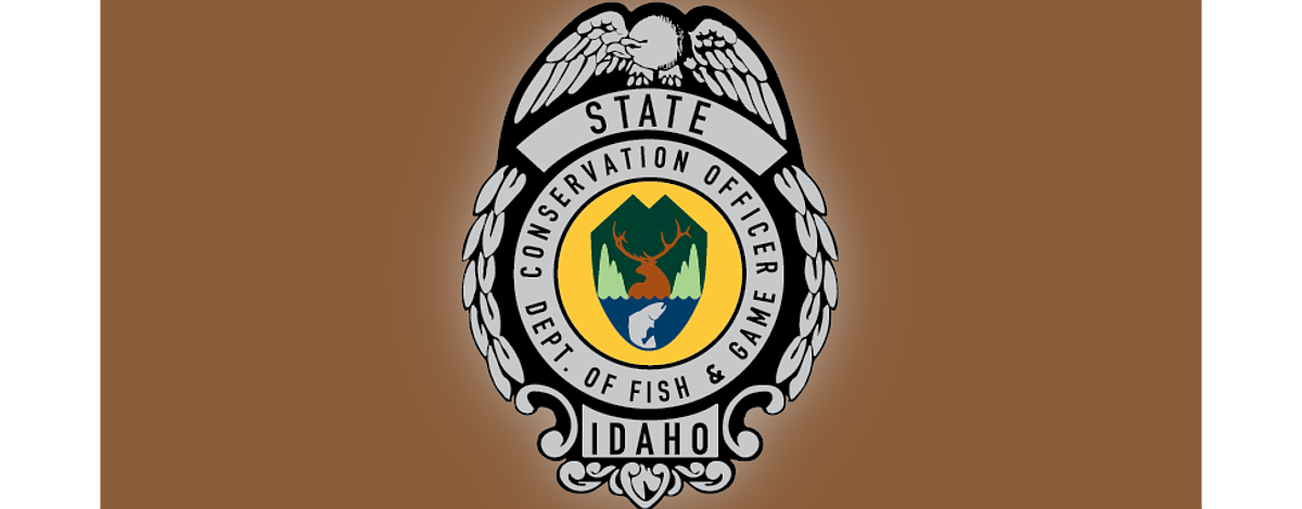 Idaho wolves to remain under state control