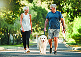 PET TALK: How pets enrich the lives of the elderly