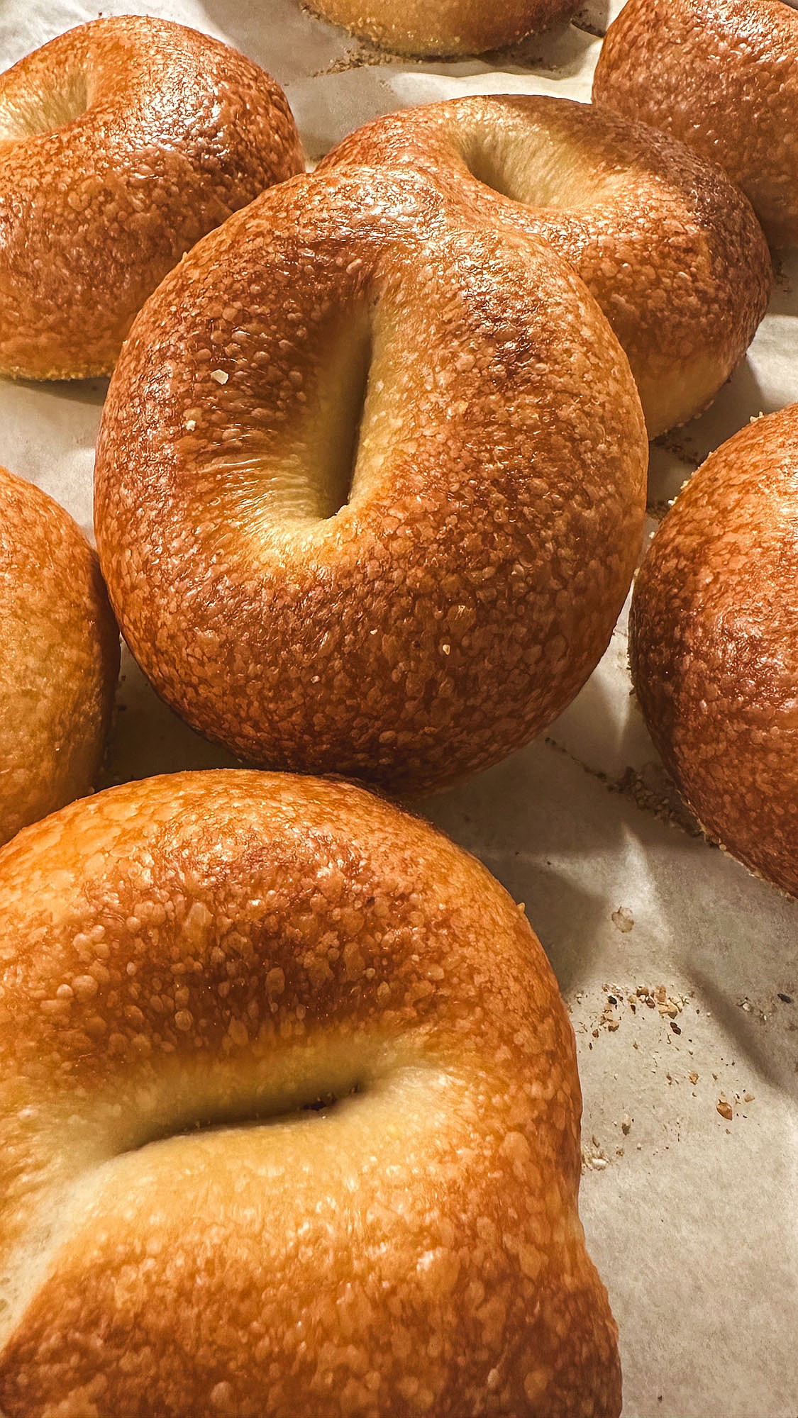 Dan Moe's bagels are now available at his shop, Cutthroat Bagel Company, at 28 Lupfer Ave. in Whitefish. (photo provided)