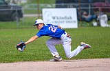 Baseball on 12-game winning streak heading to state
