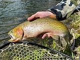 OUTDOORS: Gone fishing