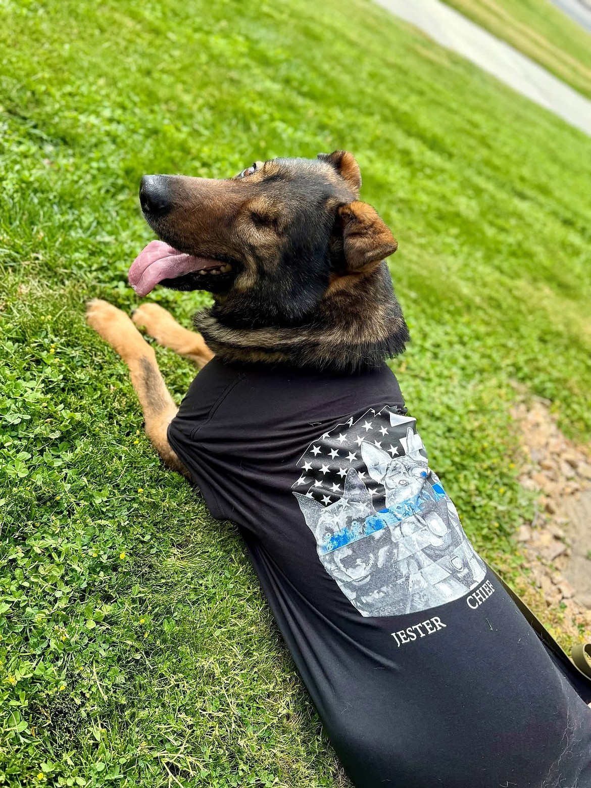 Moses Lake Police Department K-9 Chief models the new K-9 merchandise the department got for Springfest.