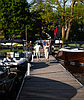 Marina 33 celebrates start to summer during grand opening