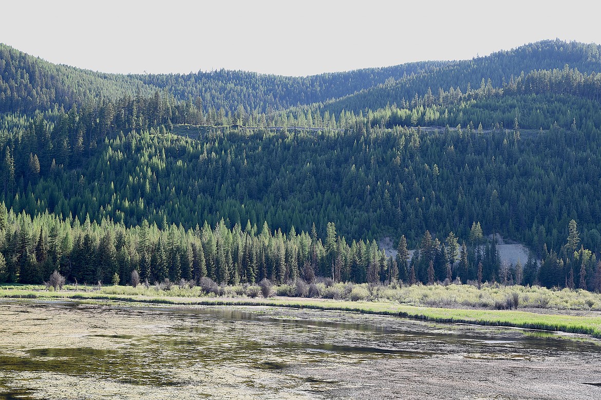 Schrieber Lakes are located about 23 miles south of Libby, just off U.S. 2. (Scott Shindledecker/The Western News)