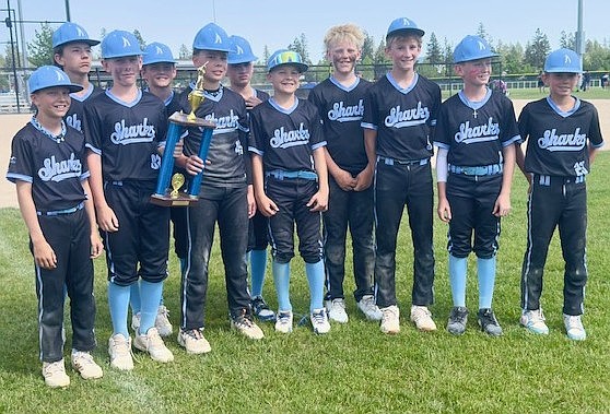 Courtesy photo
The North Idaho Sharks 12U baseball team won the Best in the Northwest tournament in Spokane for the third year in a row. The Sharks finished the regular season with a 27-6 record, reaching the championship game in each tournament they played in. In the front row from left are Colin Schrieber, Kellen Larson, Ashton Elwell, Cason Bishop, Koa Fenter, Nolan Haley, Jacob Briner and Brodie Williams; and back row from left, Beck Odenthal, Easton Henderson and Wyatt Mathews.