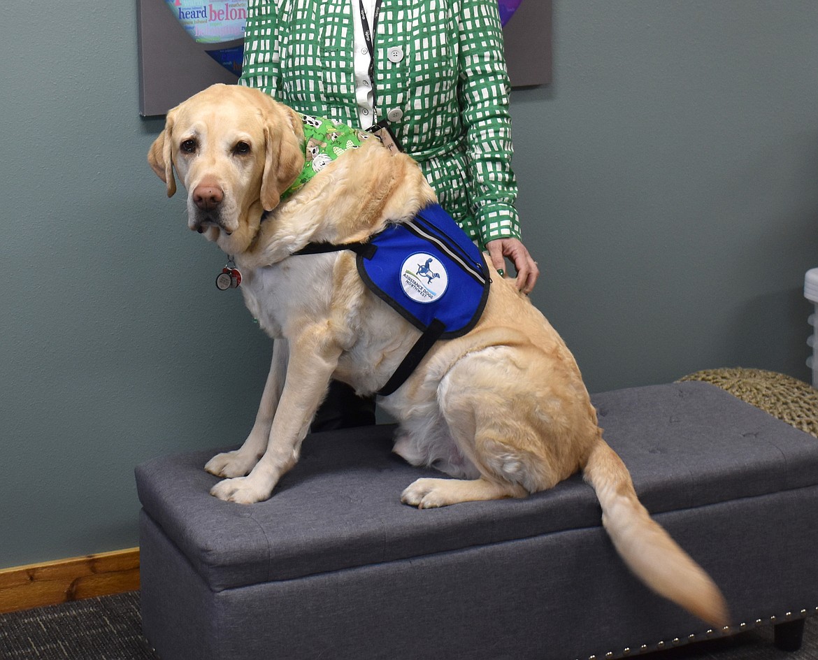 Valor the comfort dog will be at the Moses Lake Library Tuesday for a children’s story time.