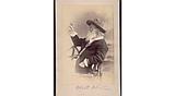 Like today’s selfie-takers, Walt Whitman used photography to curate his image – but ended up more lost than found