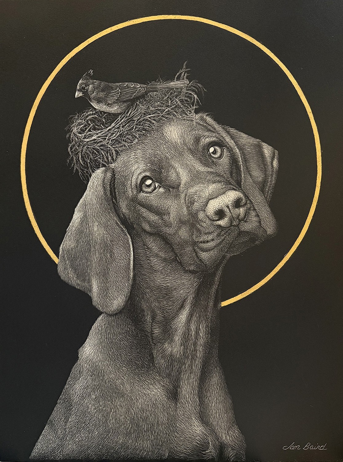 "St. Vizsla," Jan Baird, scratchboard, 24-karat gold leaf.