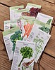 Why you should plan your fall veggie garden now!